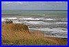 Kueste bei Dunedin 01.jpg