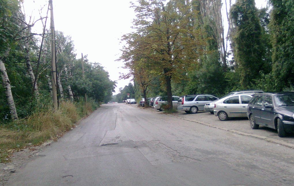 TheRoadToPlant