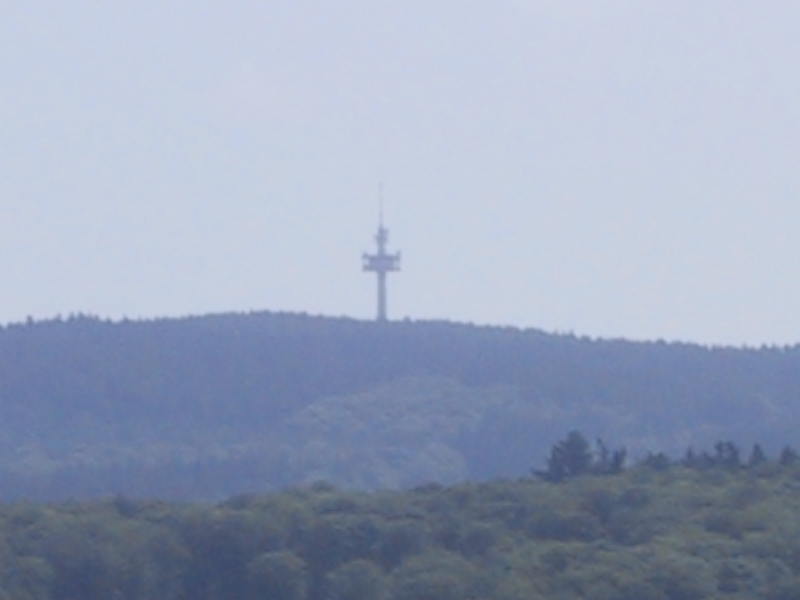 Hohe Wurzel