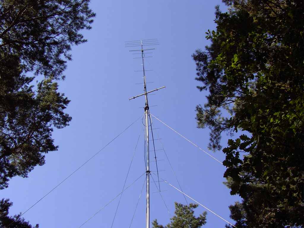 Yagi