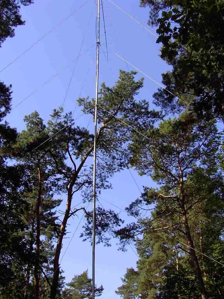 Mast
