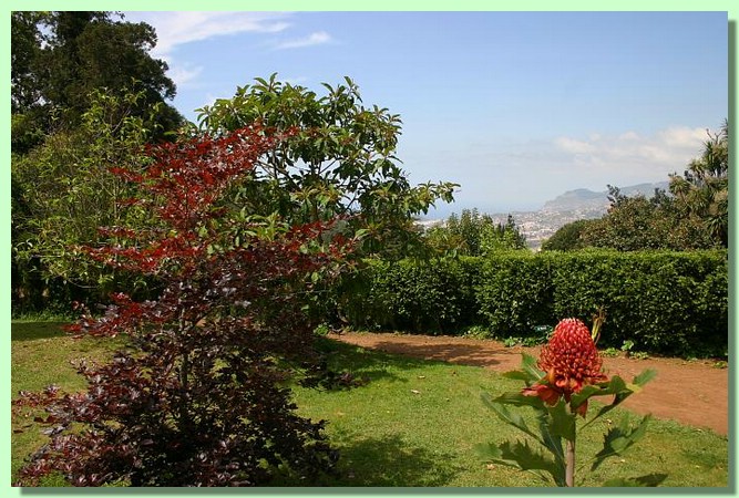 Botanischer Garten 01.jpg