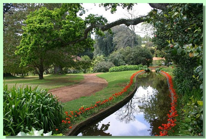 Botanischer Garten 02.jpg