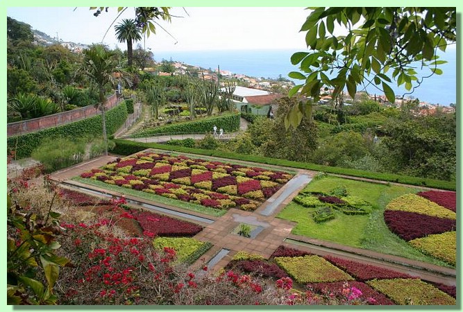 Park oberhalb Funchals.jpg