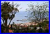 Blick auf Funchal.jpg