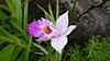 valleedes23couleurs3_small.jpg