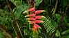 valleedes23couleurs_small.jpg