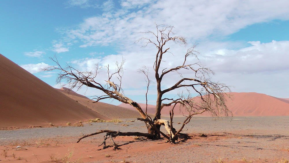 dnenindernamib.jpg
