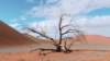 dnenindernamib_small.jpg