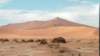 namib_small.jpg