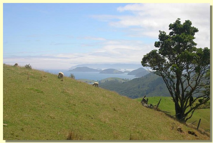 Bay of Islands 01.jpg