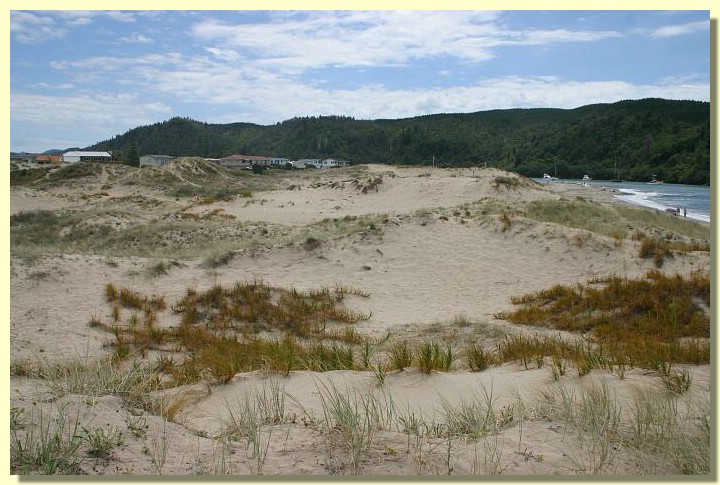 Duenen bei Whangamata.jpg