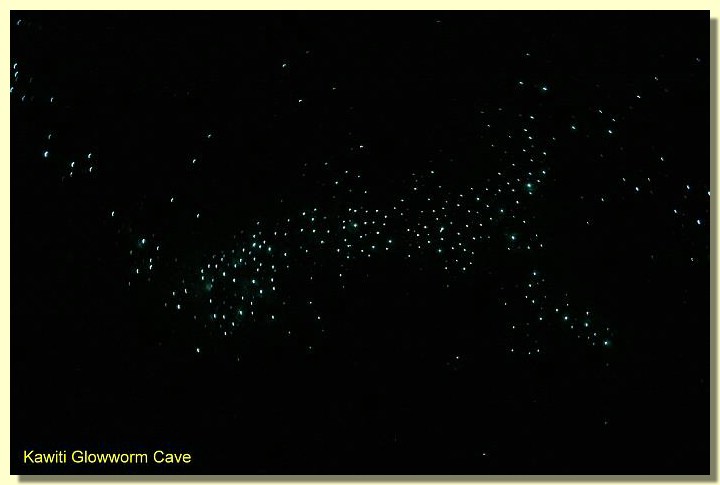 Kawiti Glowworm Cave.jpg