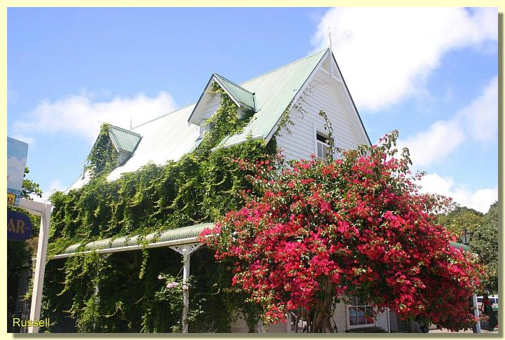 Russell_Bewachsenes Haus.jpg
