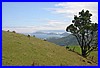 Bay of Islands 01.jpg