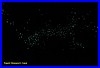 Kawiti Glowworm Cave.jpg