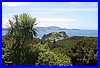 Russel_Bay of Islands.jpg