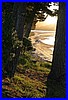 Tairua 04.jpg