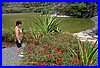 Whangarei - Botanischer Garten 01.jpg