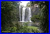Whangarei Falls 01.jpg