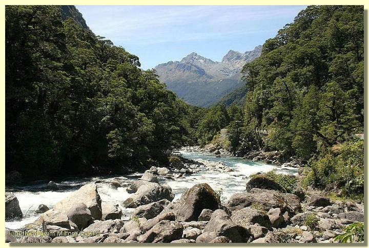 Fjordland beim Milford Sound.jpg