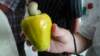 cashewfrucht_small.jpg