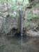 wasserfallimschmetterlingstal_small.jpg