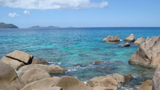 ladigue7.jpg