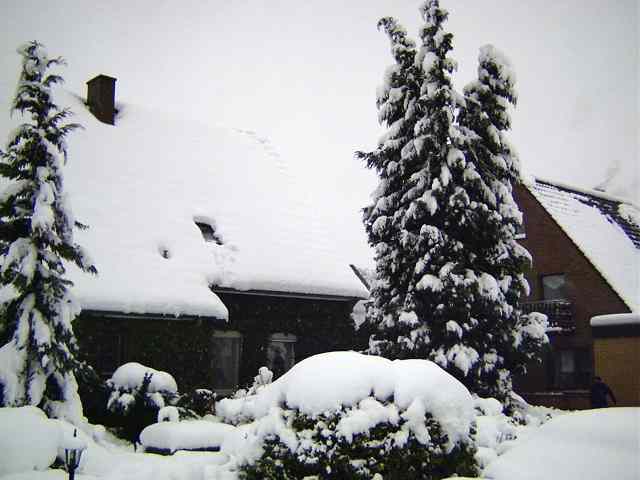 our_house_snow1_25-11-2005.jpg (28932 Byte)