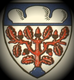 Stadt Wappen Langenberg