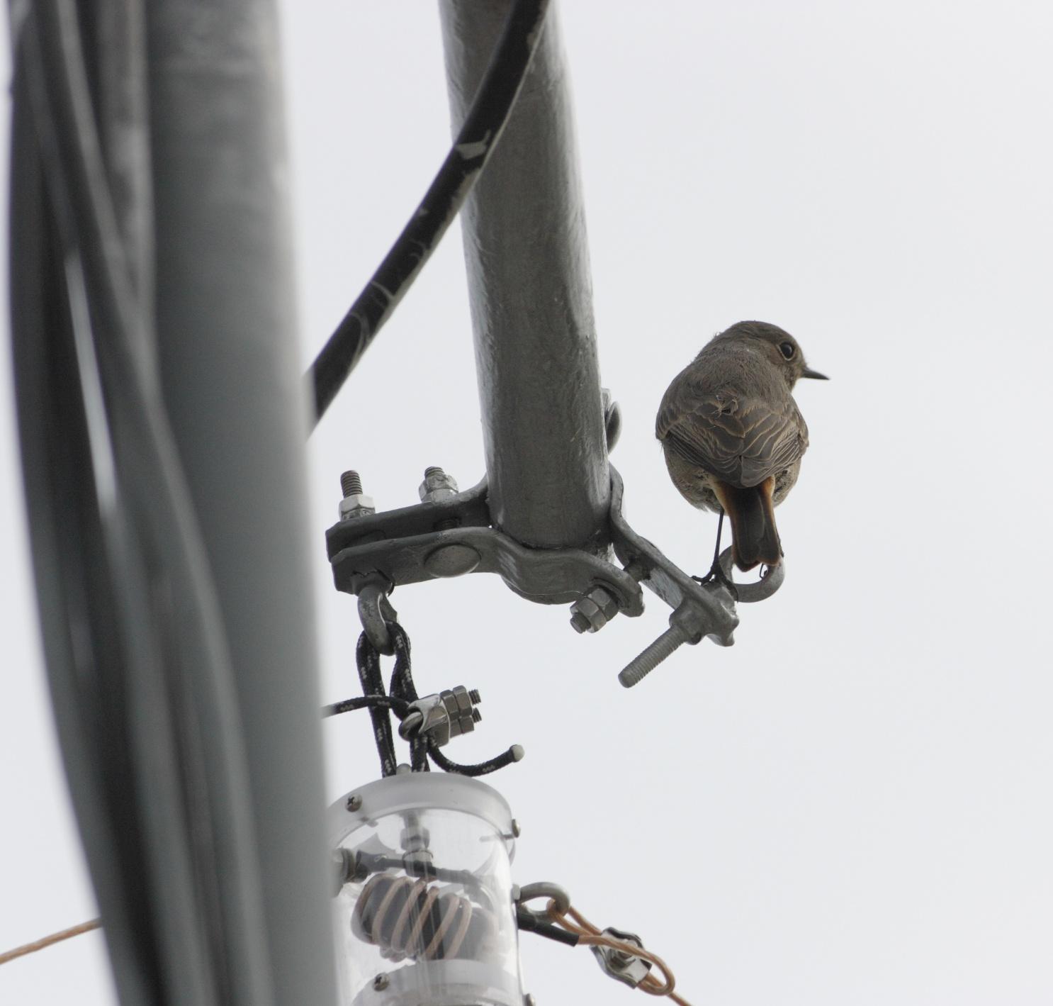  Bildname: IMG_4876kl_cr.jpg 
 Breite: 1486 Pixel 
 Hhe: 1419 Pixel 
 Grsse: 343 kB 