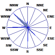 Wind Rose