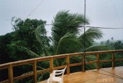 rarotonga 6