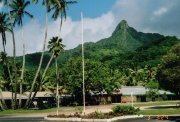rarotonga 9