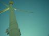 Close to the wind farm