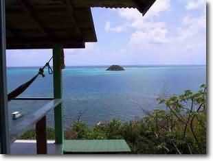 View from my shack